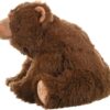 Oso de peluche